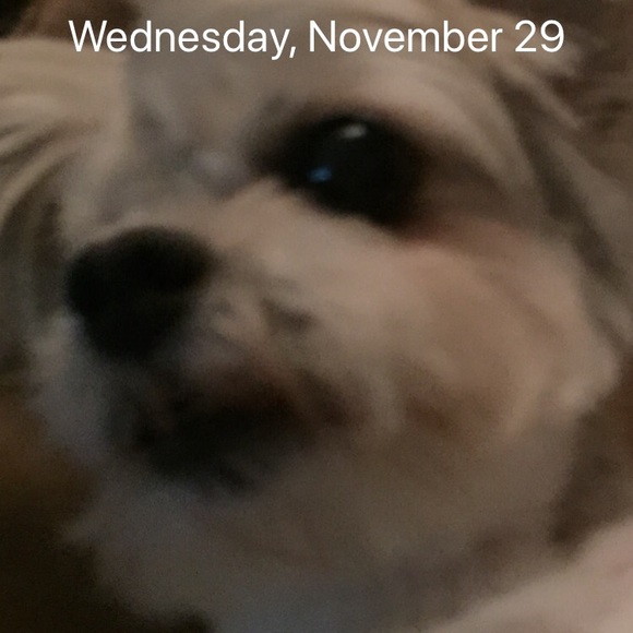 sunnymacy1